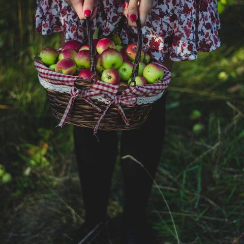 Basket of apples